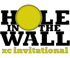 Hole In The Wall logo image